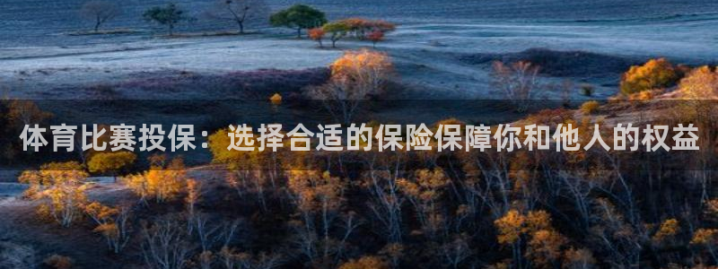 体育比赛投保：选择合适的保险保障你和他人