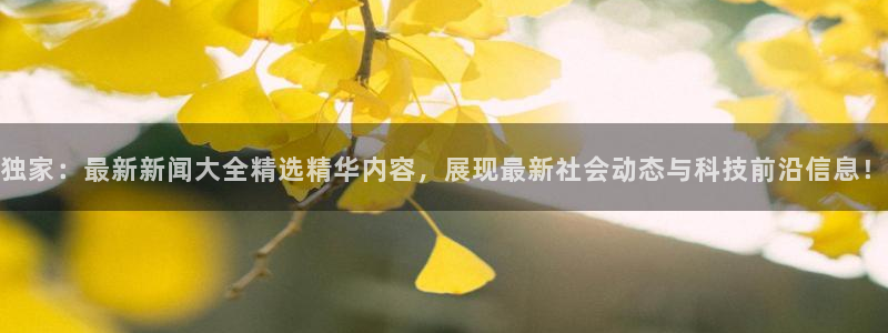 独家：最新新闻大全精选精华内容，展现最新