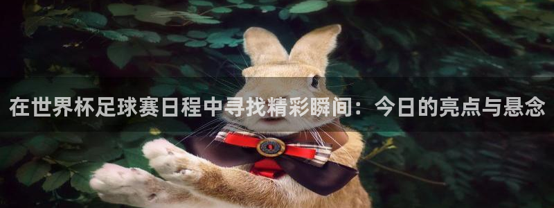 在世界杯足球赛日程中寻找精彩瞬间：今日的亮点与悬念