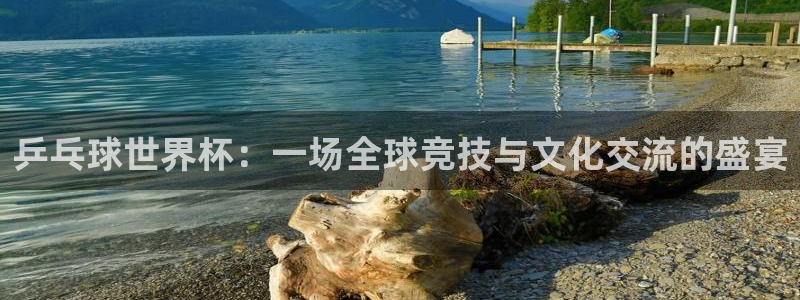乒乓球世界杯：一场全球竞技与文化交流的盛