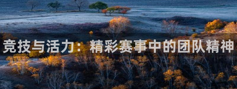 竞技与活力：精彩赛事中的团队精神