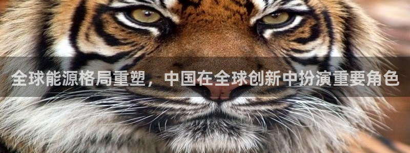 全球能源格局重塑，中国在全球创新中扮演重