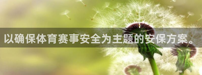 以确保体育赛事安全为主题的安保方案。